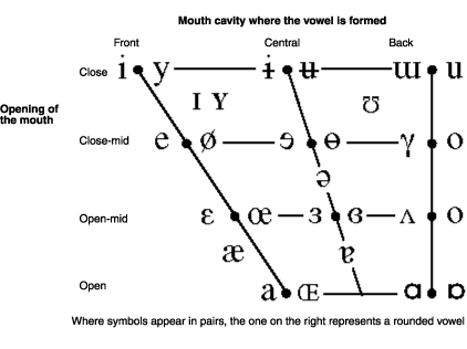 Articulation of vowels and diphthongs